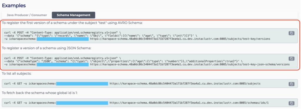 Figure 29: Karapace Schema Registry Connection Info | Examples – Instaclustr Console 